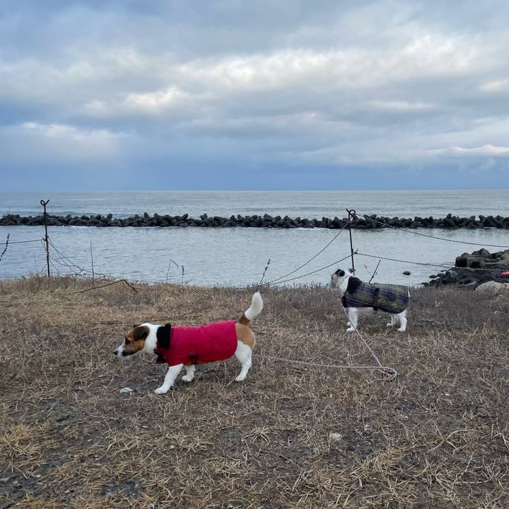 0aa851c7 46fc 4eeb adda cb9c267a5050 1674345051758