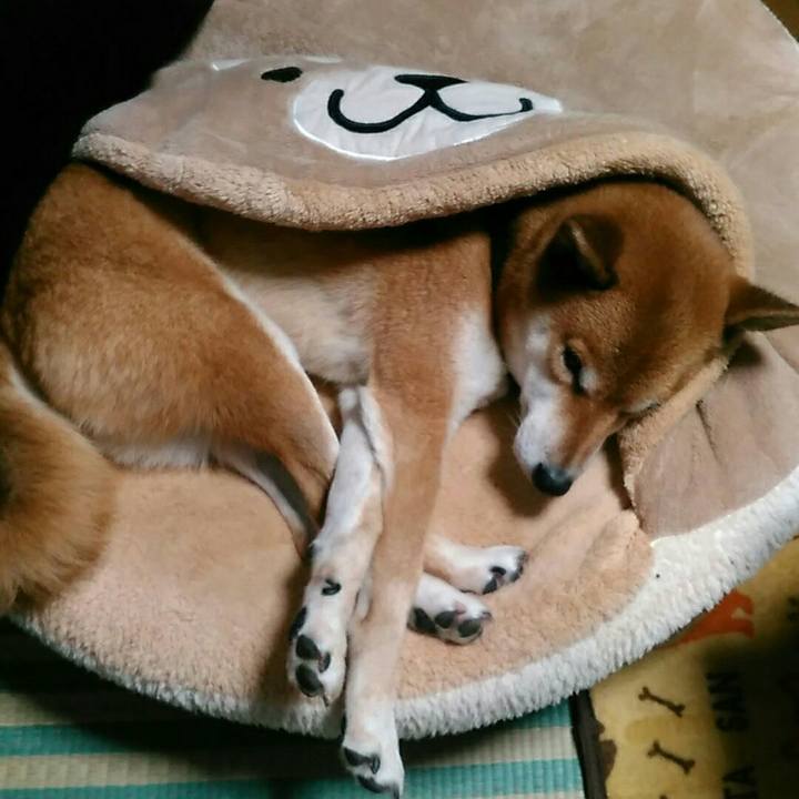 0aa860a7 c90c 4c03 910a b51a513eb978 1573484319653