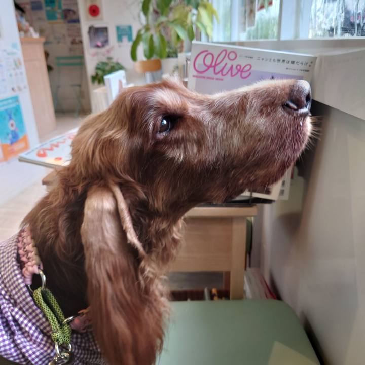 0aa8d413 9e5d 4bfd 9131 91e61eb9ba51 1665805745227