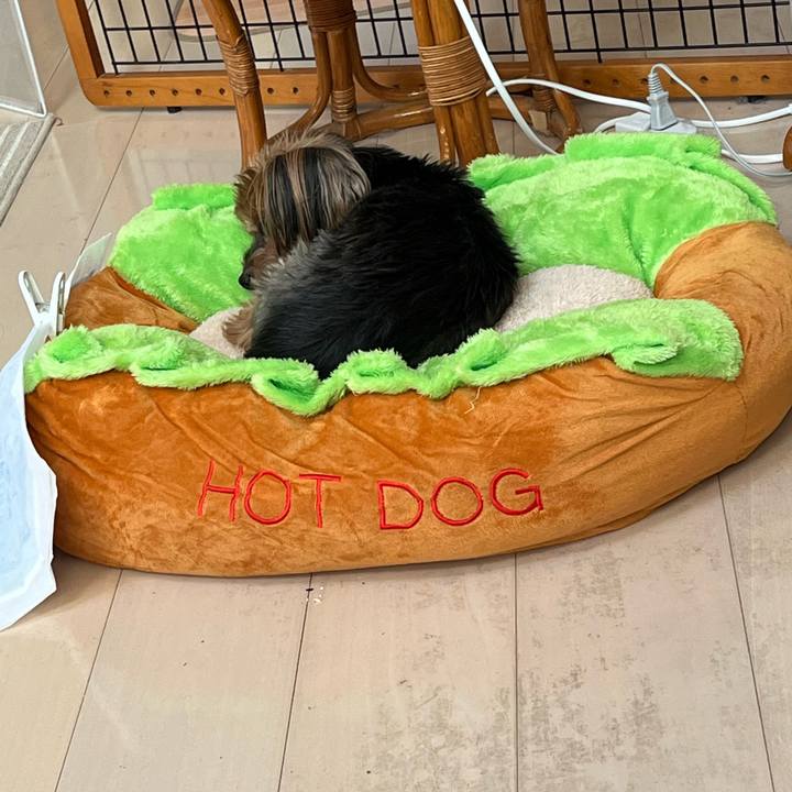 0aa917a5 0b41 47ec 91eb 27e2a9b1edcb 1672351844835