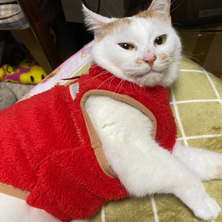 0aa92f2b 7e5b 43c2 8dd9 dba0d44b7bee 1642340623949