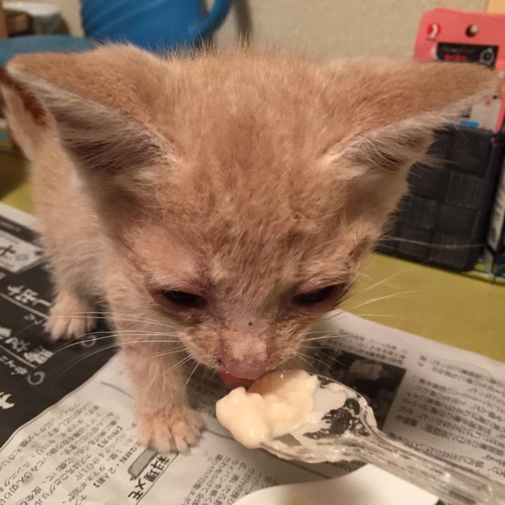 0aa9570c e6c9 49fa 843b 2f919ab267e1 1530963251804