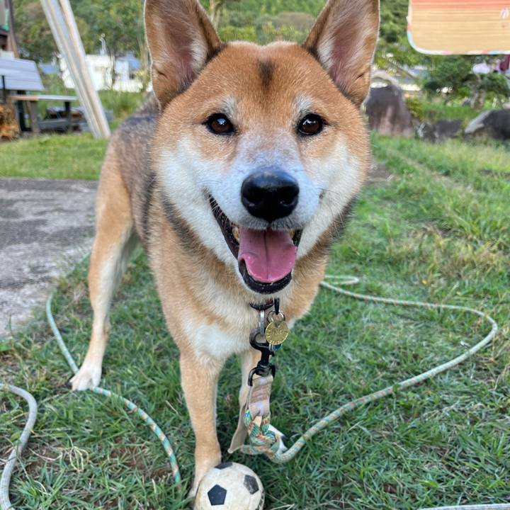 0aa96067 881a 4f36 917b ef11789efdd9 1634597885353