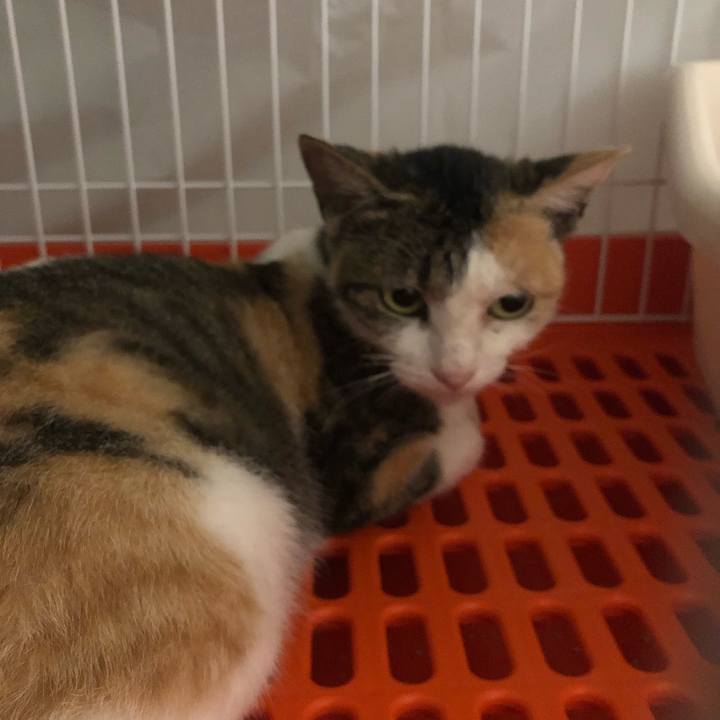 0aa970d9 efb7 40c1 8603 83edc34efad4 1569841747101