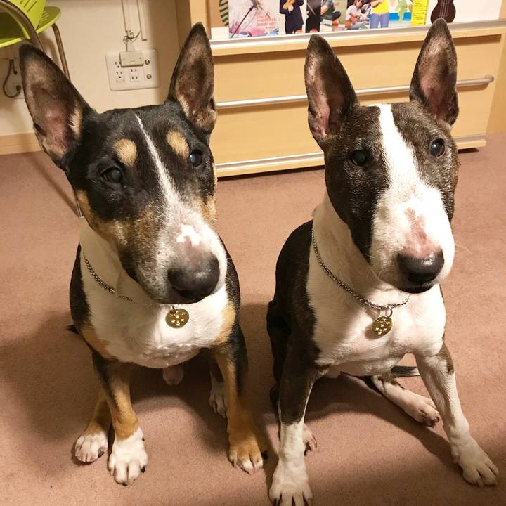 0aa9a23d e961 462e 87c1 d62f83bf59ad 1512647549766