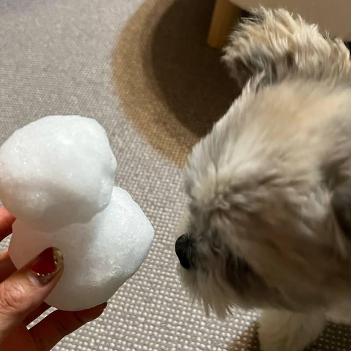 0aa9c7fd d525 4866 8378 0d6ea23fd5e8 1641887739005