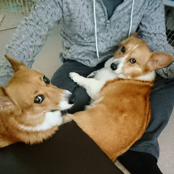 0aa9ef1f d48a 4797 b54b 61aaf135da0a 1523688928222