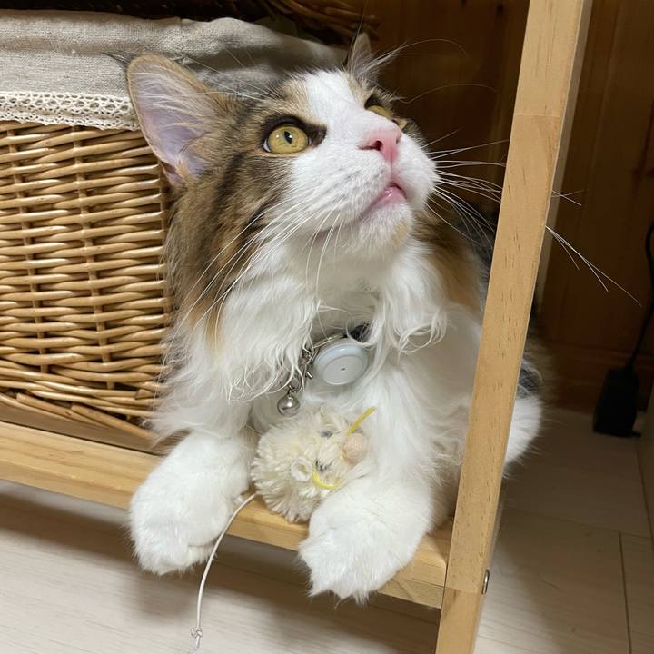 0aaa0178 7c9b 43d4 888e 721246e5ae7d 1642195371836