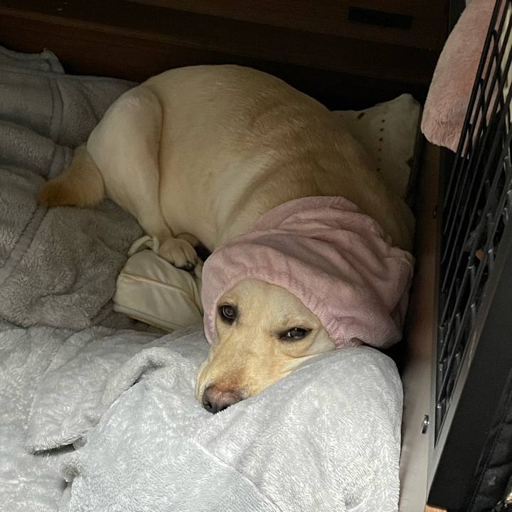 0aaa1828 792c 44b5 9500 7f91c726581d 1646651893656