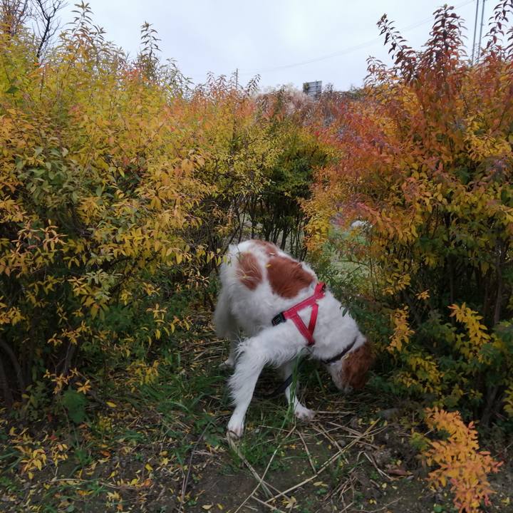 0aaa7bec 5799 4839 9fa5 dd550a39b871 1576995616449