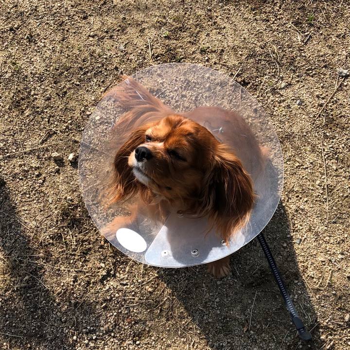 0aaa96b5 10a5 418a 87d5 2d4cc6a3bd2f 1583622921777