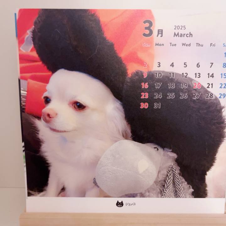 0aaab0be 2b64 4c48 a6f6 76883e2d0f39 1740923670140