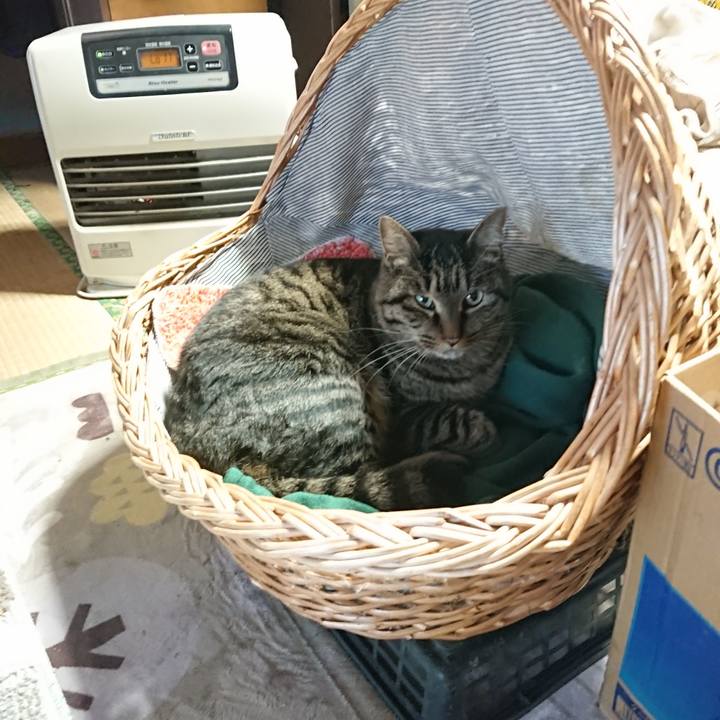 0aaafca0 a34e 45bd b95c 07393953a75d 1640298086492