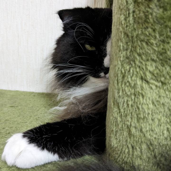 0aab2f4b 50ee 49c1 96e5 39a7fe176542 1698722575081