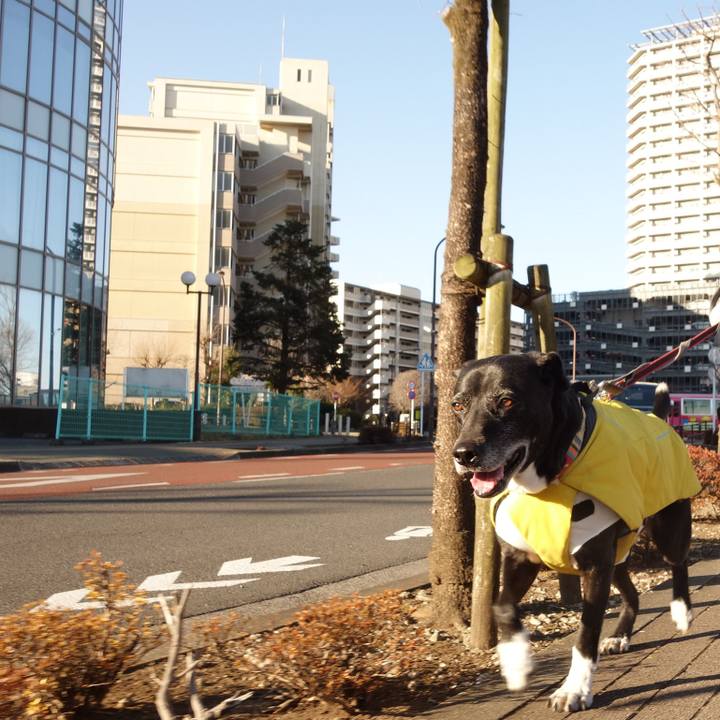 0aab6a8c 3732 46d1 a041 aa89d3dc385b 1740443747730