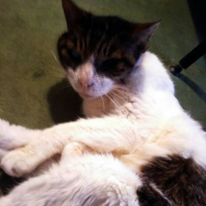 0aabcd11 c935 4eab ae14 422f452bb41d 1589510579193