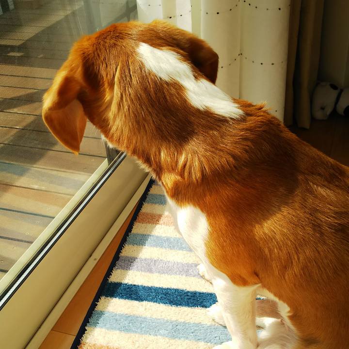 0aac03ca ec8c 433b 826b 285517eebf99 1550976908449