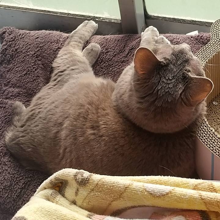 0aac657f bcb5 4790 9a05 91b0aa23a0a2 1646356578591