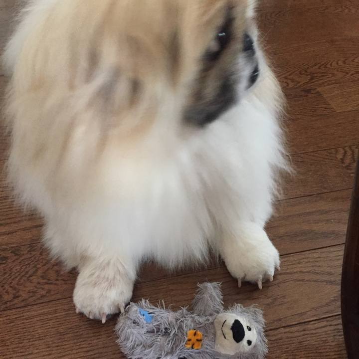 0aac7922 a53a 447a 8542 de0963dff846 1525306317204