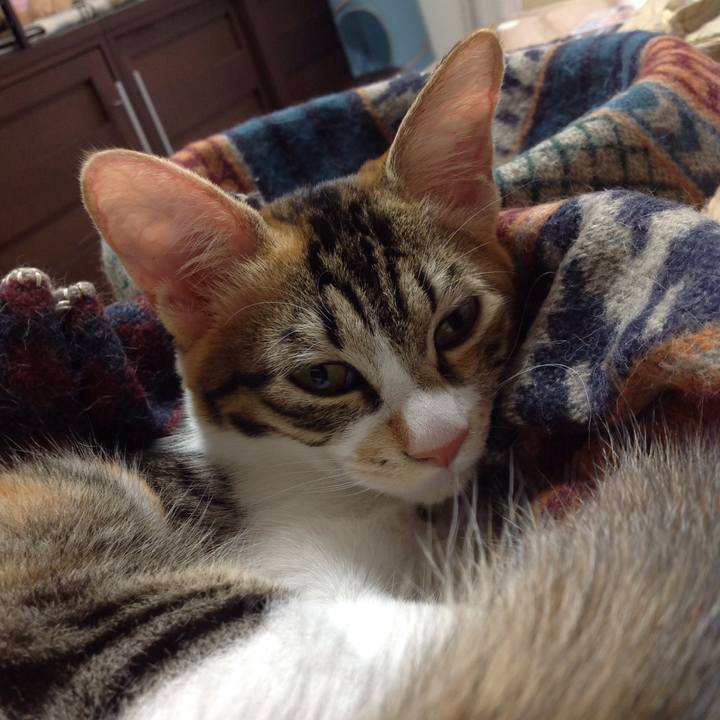 0aac92ae 3566 481f 8f2b b573b65c9bd2 1633569886394