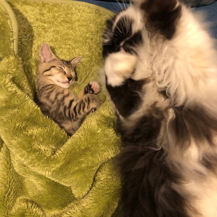 0aac934e 6fc0 4708 b82d 7cd2353f32a6 1602254395797