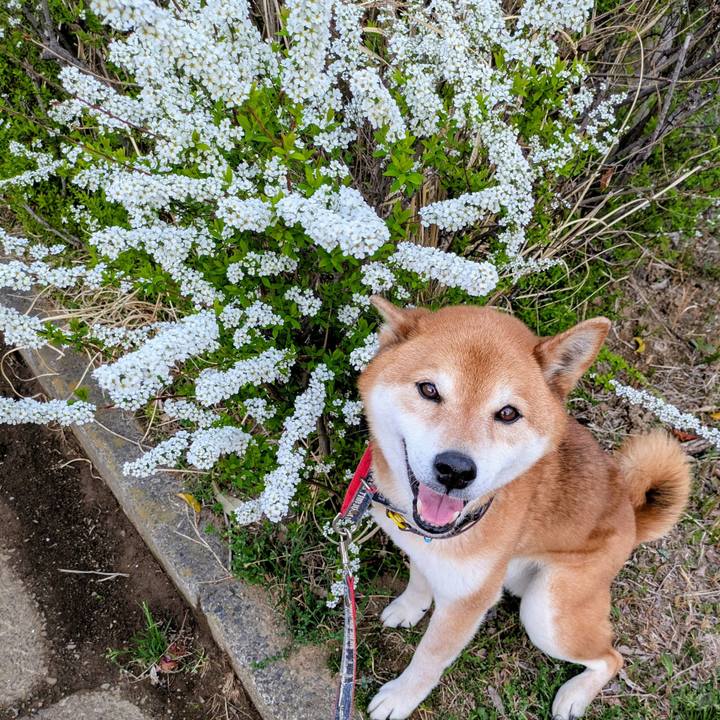 0aac9b41 5b4c 4f0b a21f d2807c13e53e 1743158729333