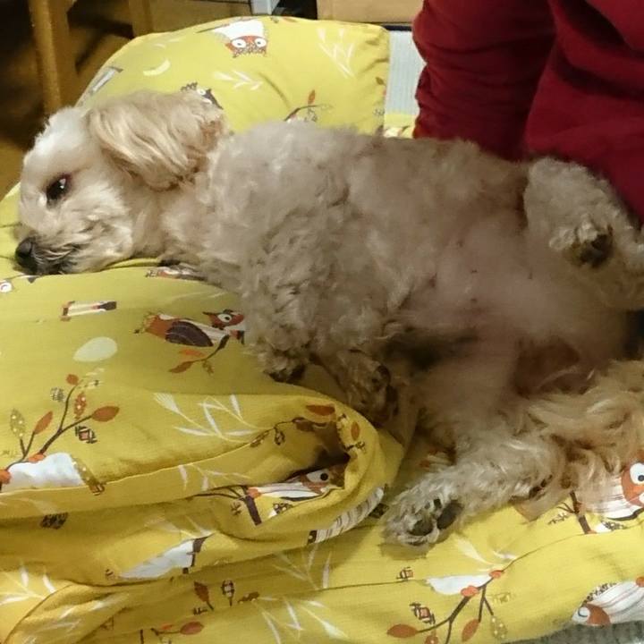 0aacf3d9 376e 49c3 959c 7c1235b1d112 1545459161922