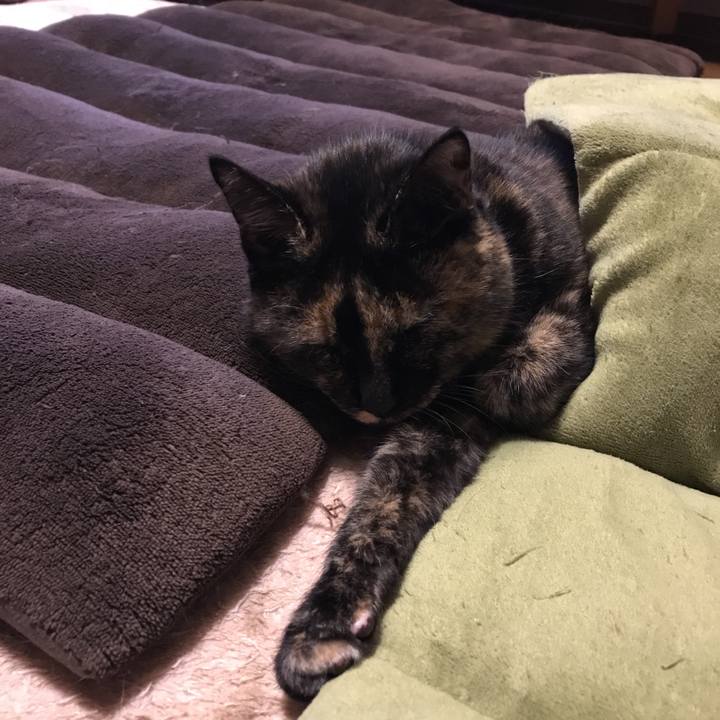 0aacf453 ab82 4b5e b43f 7e83d6aa6471 1511101144547