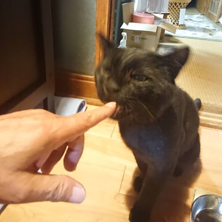 0aad0fe4 2621 4fb6 a464 78c588eed865 1627910851467