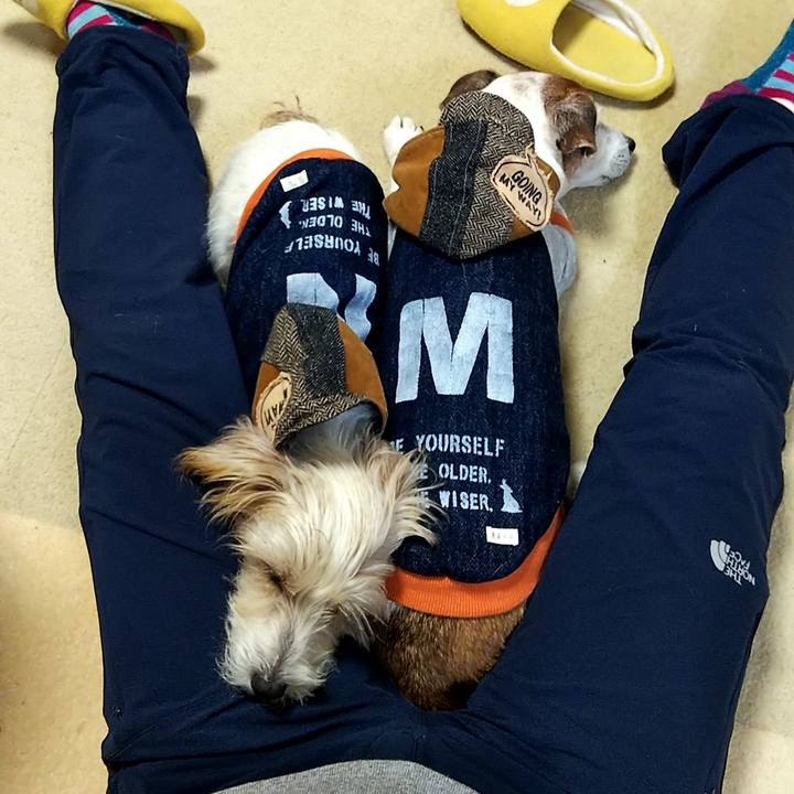 0aad187e 0b99 4915 b9ea 9cfe27fc43b0 1544253151684