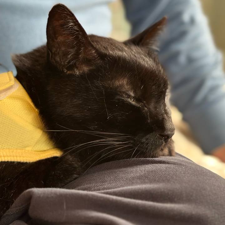 0aad245e c2e8 4145 9720 351f16aade80 1714180975650