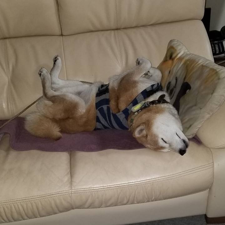 0aad4f25 7e22 41e8 95ee 1a3c1d719255 1671190281421