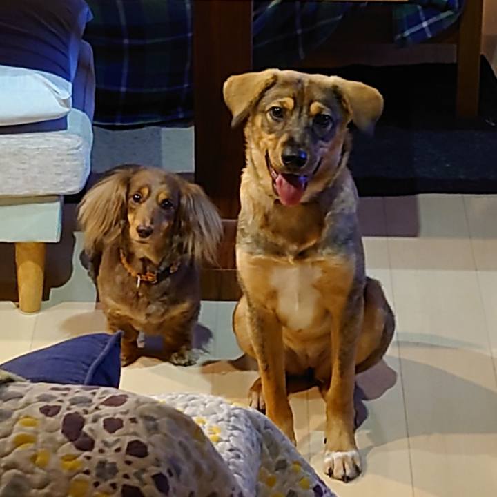 0aad5956 941b 4931 ad50 91c5cdc7515a 1686061364407