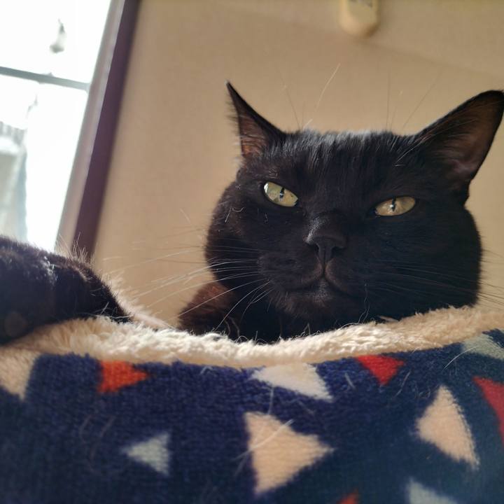 0aad5a75 1bf1 4727 bf1e a20d62db68de 1631406790280