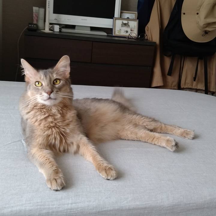 0aad5b94 3766 49f3 a0e5 aba9b337e3b0 1622036126366