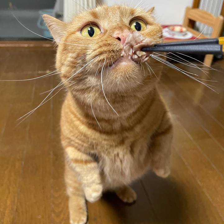 0aad5e40 8aca 4224 b9a0 b6296d6560f6 1624967973979