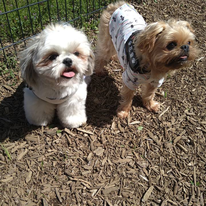 0aad7006 b9e5 47fa 8b5f 7f1ee411c1e8 1618721604101