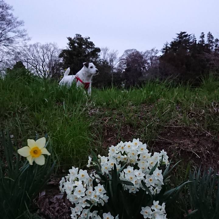 0aad9fd9 35ab 4473 aa29 a33a78157c35 1522192493731