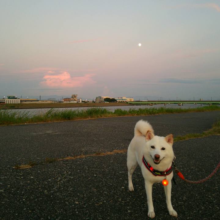 0aadcae1 ee55 4d14 8863 f75c608b0026 1565693544195