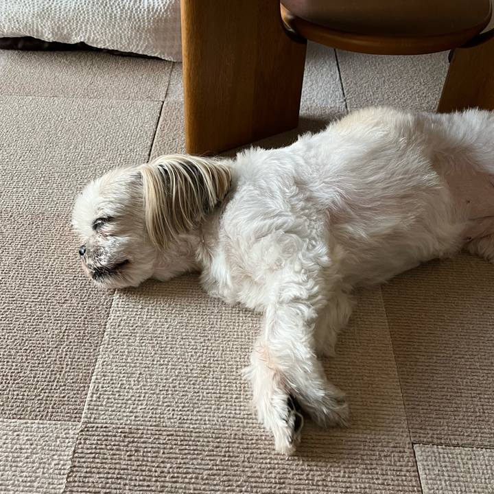 0aaddf97 69f5 486d a7a6 7edd4cecc039 1725669827190