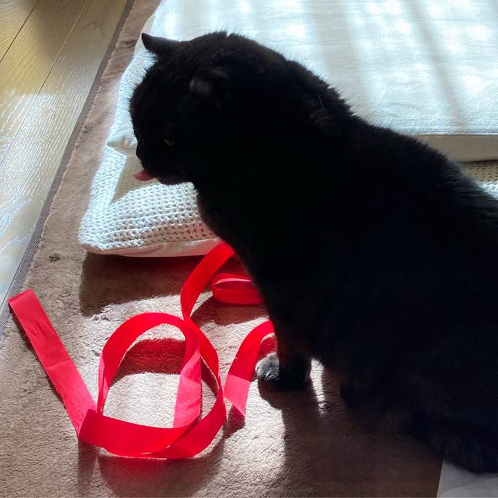 0aadec8b 6e15 4921 9605 6ac069e19f57 1608862679694