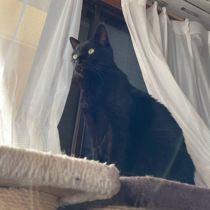 0aae0b9e 3ea9 41ae a980 1b5f7d7c0b68 1605404230486