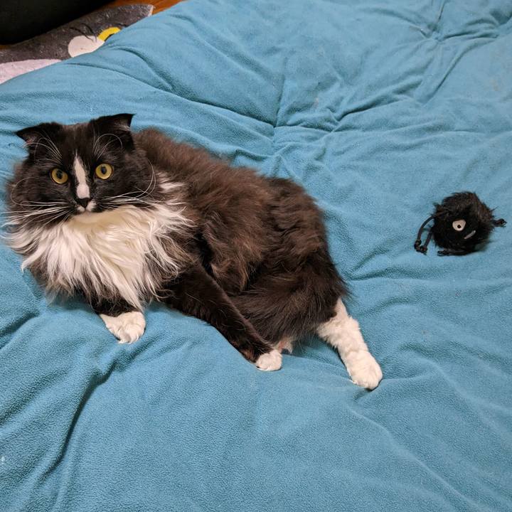 0aae3060 35e1 4946 b92a 8f51884906bb 1678618146361