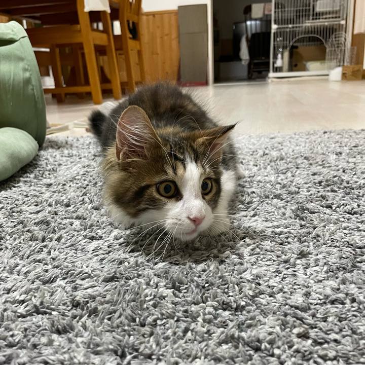 0aae3922 6998 438b 8389 bb10f6f347ec 1634295452807