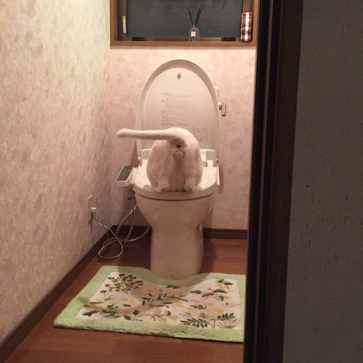 0aae7d19 9dd6 4b5f 9b18 aaeb9d07e16d 1541147436131