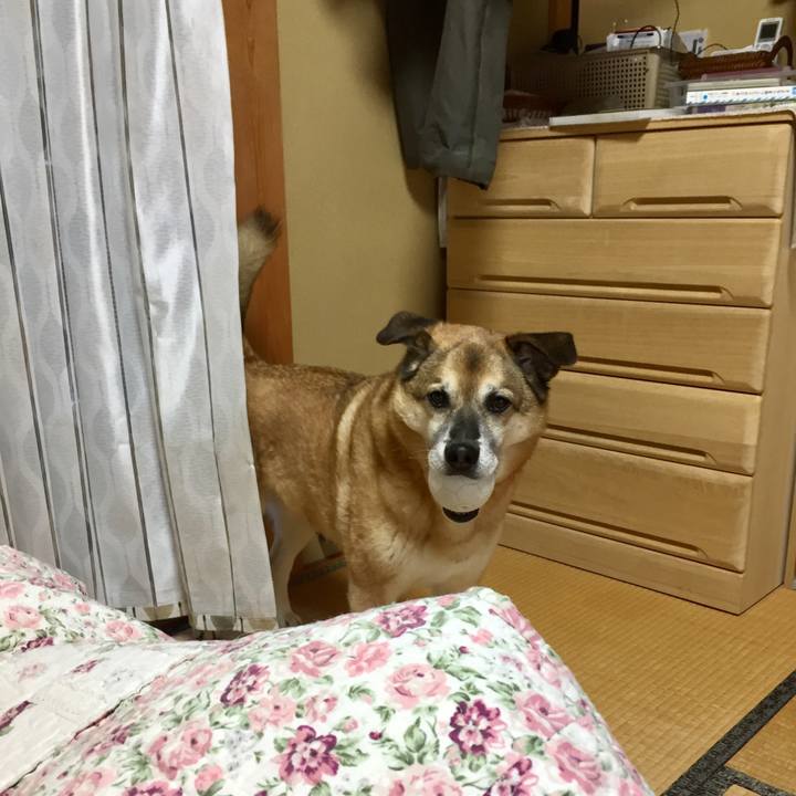 0aae890d 7fe2 4676 9a7a 66239dccef4d 1582533547080