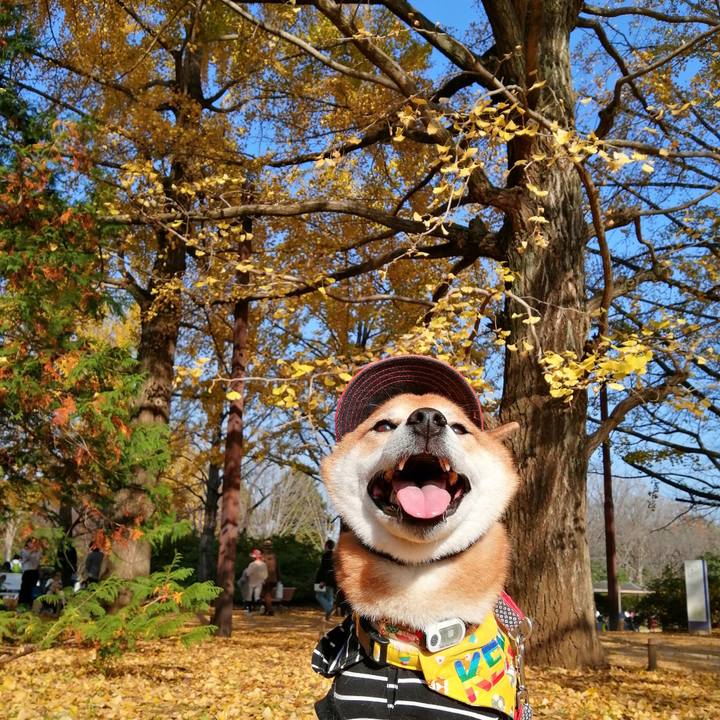 0aaed84f 18b5 43d0 b1a1 f1555b9735b7 1637404388280