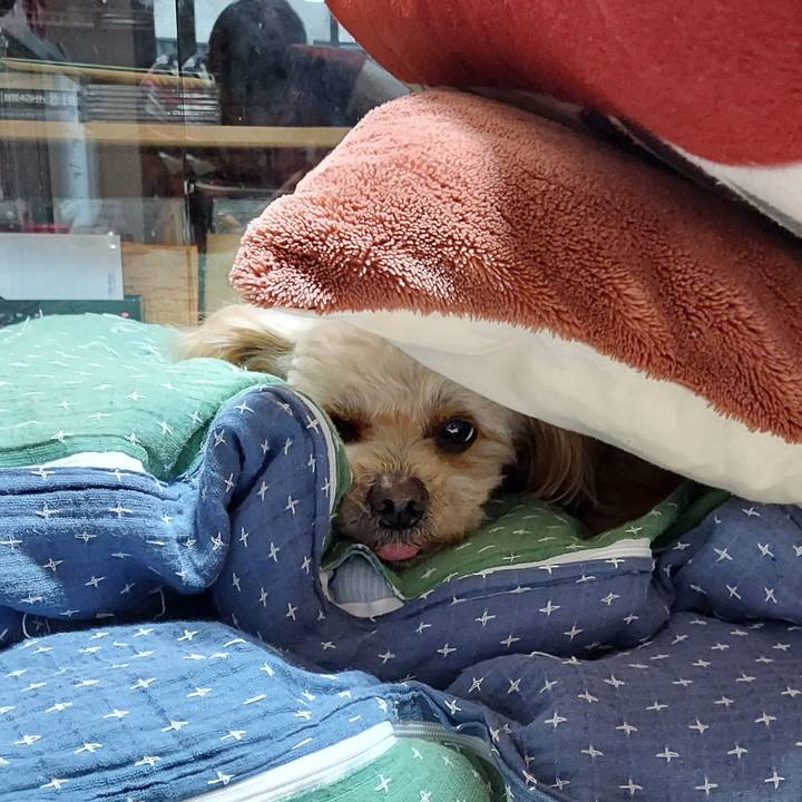 0aaee238 5b5b 423f b3b3 20bc13519b24 1646189146121