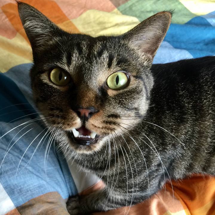 0aaf0f22 face 4456 9f63 cf4b09132758 1561442457270