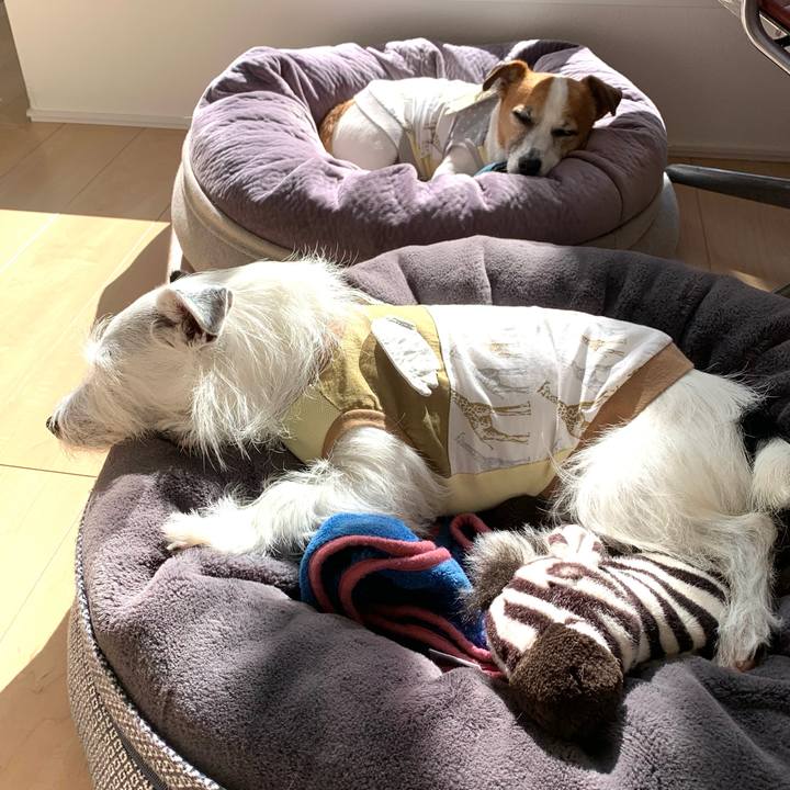 0aaf3ecf af54 4e3a 90a5 93cb86820e36 1635221734712